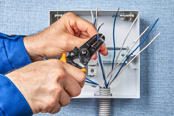 Best Electrical Troubleshooting and Repair  in Mango, FL